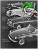MG 1971 7-0.jpg